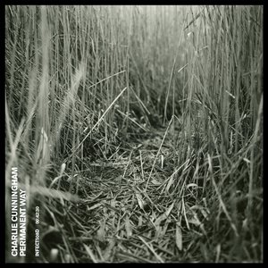 国产一级精品高清一级毛片
